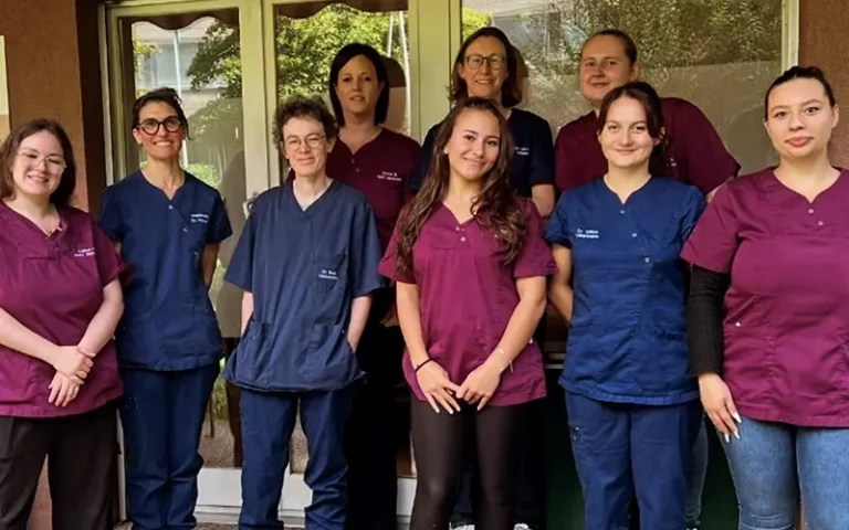 arche en ville cabinet veterinaire vevey