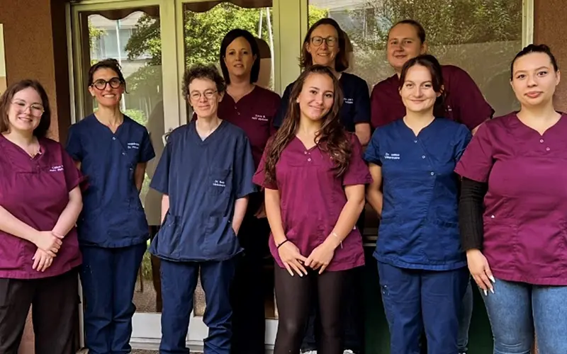 arche en ville cabinet veterinaire vevey