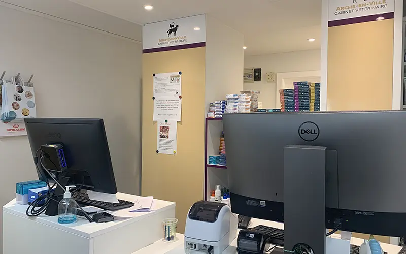 arche en ville cabinet veterinaire vevey